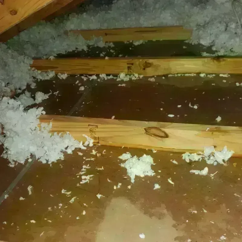 Attic Water Damage in Twin City, GA