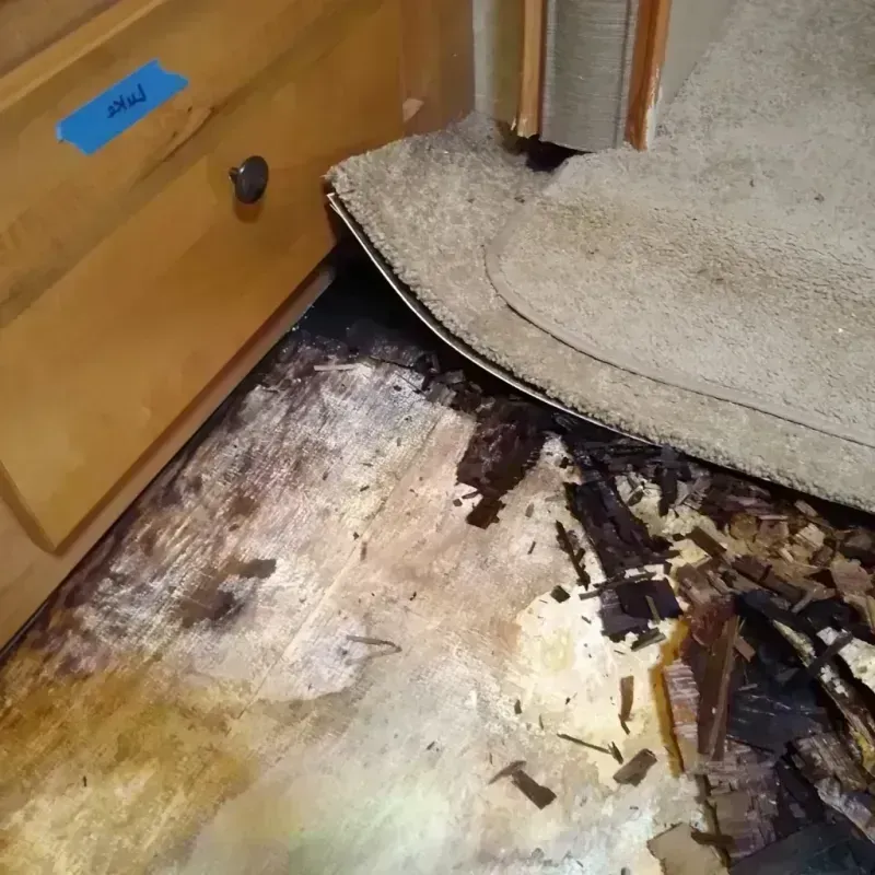 Wood Floor Water Damage in Twin City, GA